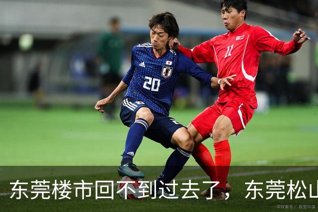 东莞楼市回不到过去了，东莞松山湖待售二手房就从2047套增加到2246套