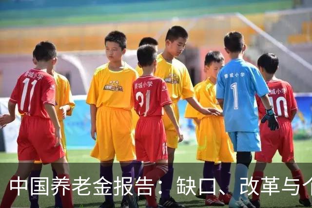 中国养老金报告：缺口、改革与个人