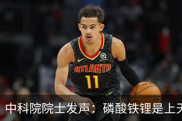 中科院院士发声：磷酸铁锂是上天的礼物，现有电动车足够好用。