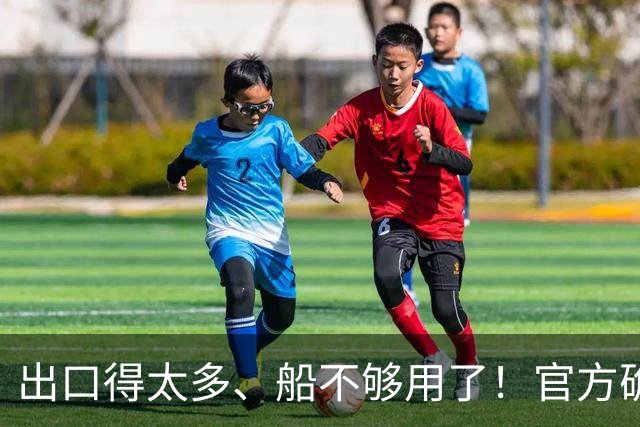 出口得太多、船不够用了！官方确认：比亚迪又买10艘滚装船