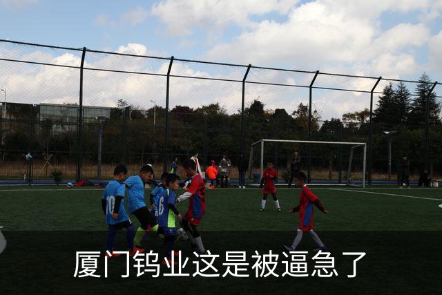 厦门钨业这是被逼急了