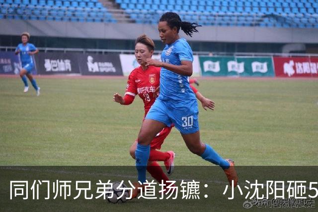 同们师兄弟分道扬镳：小沈阳砸5000万赚回2亿，宋小宝身价跌至8万