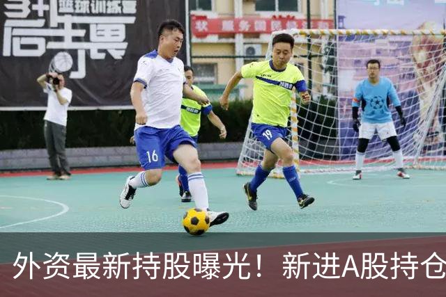 外资最新持股曝光！新进A股持仓数量前十名单来了