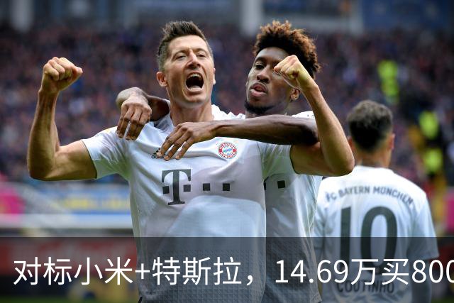 对标小米+特斯拉，14.69万买800公里续航！