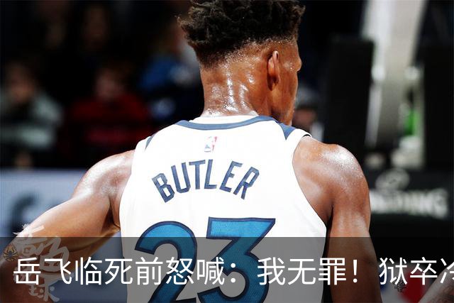 岳飞临死前怒喊：我无罪！狱卒冷冷回应6字，令岳飞无言以对！