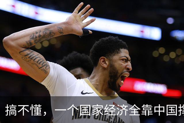 搞不懂，一个国家经济全靠中国撑着，转头就对我们翻脸不认人