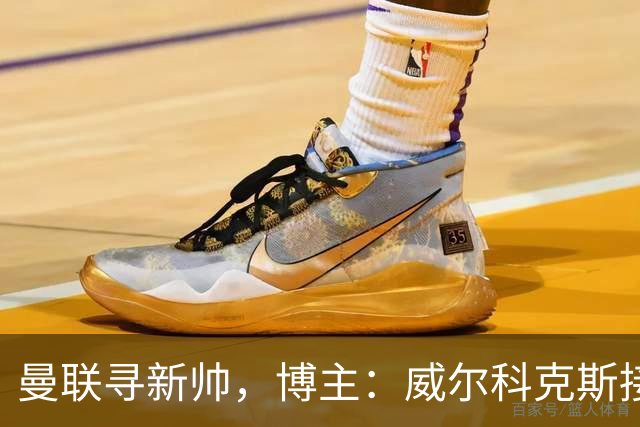 曼联寻新帅，博主：威尔科克斯接触埃迪·豪，维维尔询问纳帅