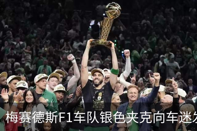 梅赛德斯F1车队银色夹克向车迷发售，两个版本可选
