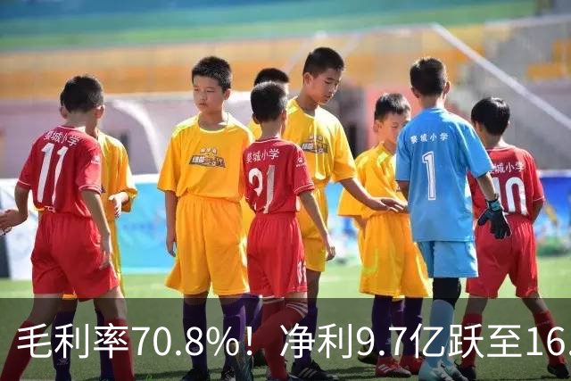 毛利率70.8%！净利9.7亿跃至16.2亿，社保高盛齐重仓