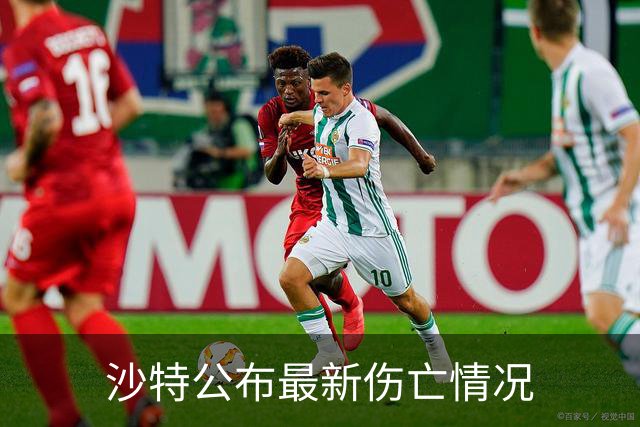 沙特公布最新伤亡情况