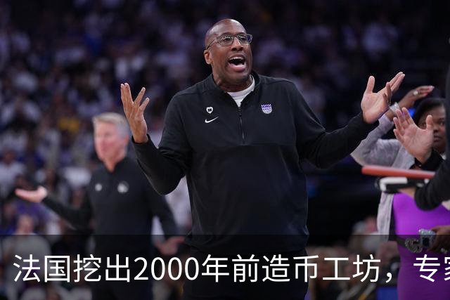 法国挖出2000年前造币工坊，专家：可能是古代世界最大铸币厂