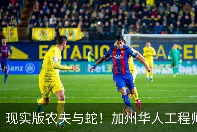 现实版农夫与蛇！加州华人工程师往女同事水杯投毒两年，竟还要申请无罪记录