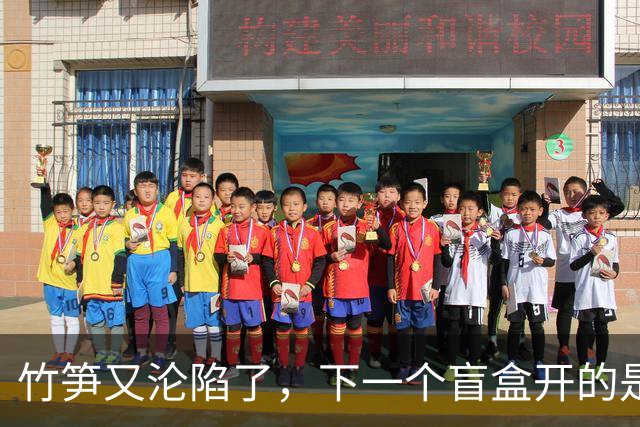 竹笋又沦陷了，下一个盲盒开的是什么？