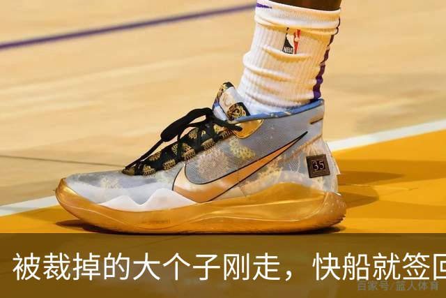 被裁掉的大个子刚走，快船就签回13场旧将