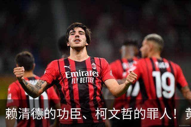 赖清德的功臣、柯文哲的罪人！黄珊珊退选举，蓝白2028提前排雷了