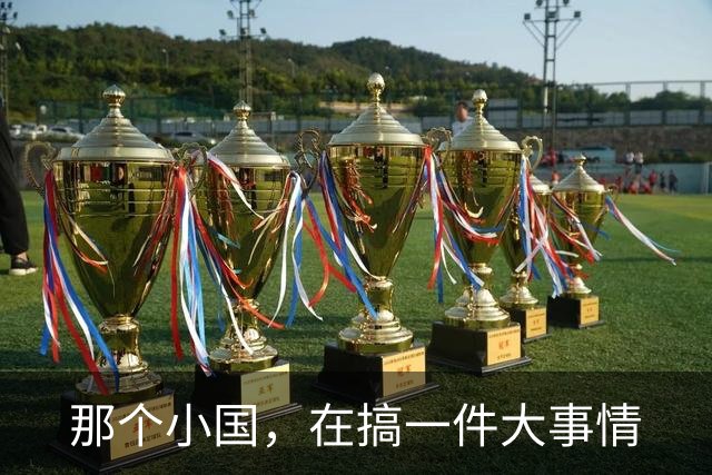 那个小国，在搞一件大事情