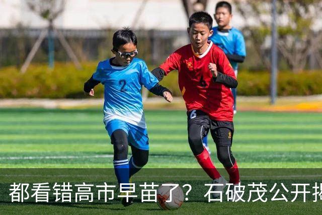都看错高市早苗了？石破茂公开揭短，这个女人不只蠢坏，还没远见