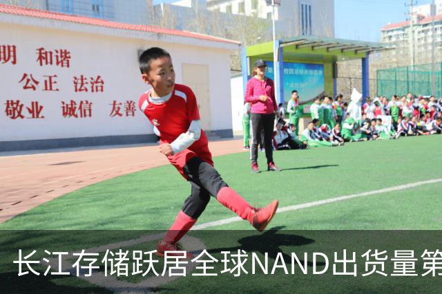 长江存储跃居全球NAND出货量第三