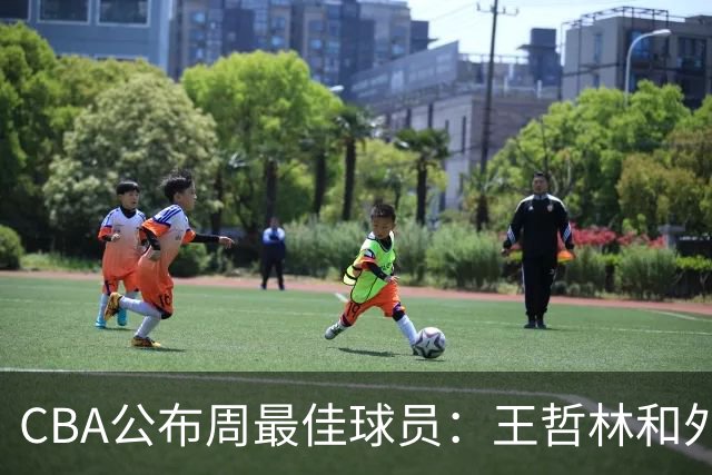 CBA公布周最佳球员：王哲林和外援皮特森当选